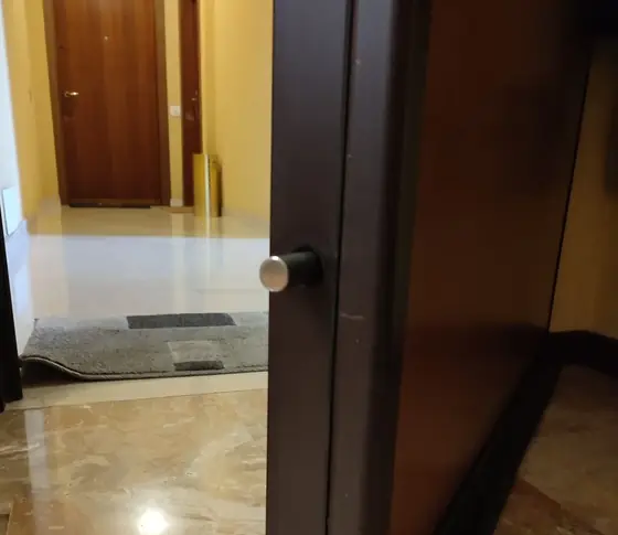 Perno laterale di una porta blindata aperta – Dozza