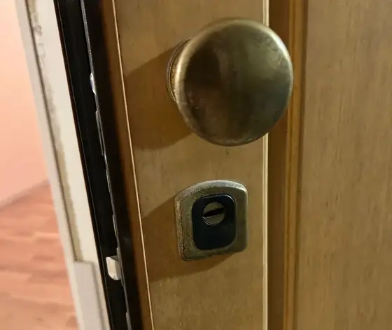 Pomolo e defender su porta blindata – Bologna